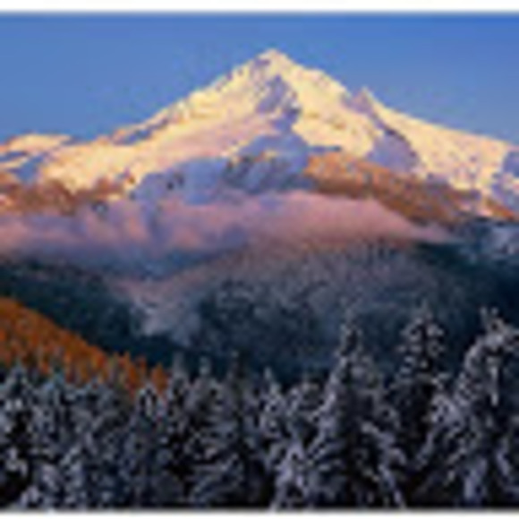 Meet your Posher, Scott - Picture 1 of 1